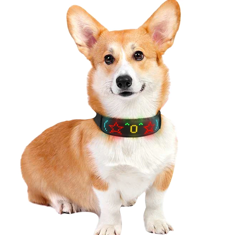 Multicolor Pet LED Dog Collars - đánh giá và giá Tech Dog Accessories