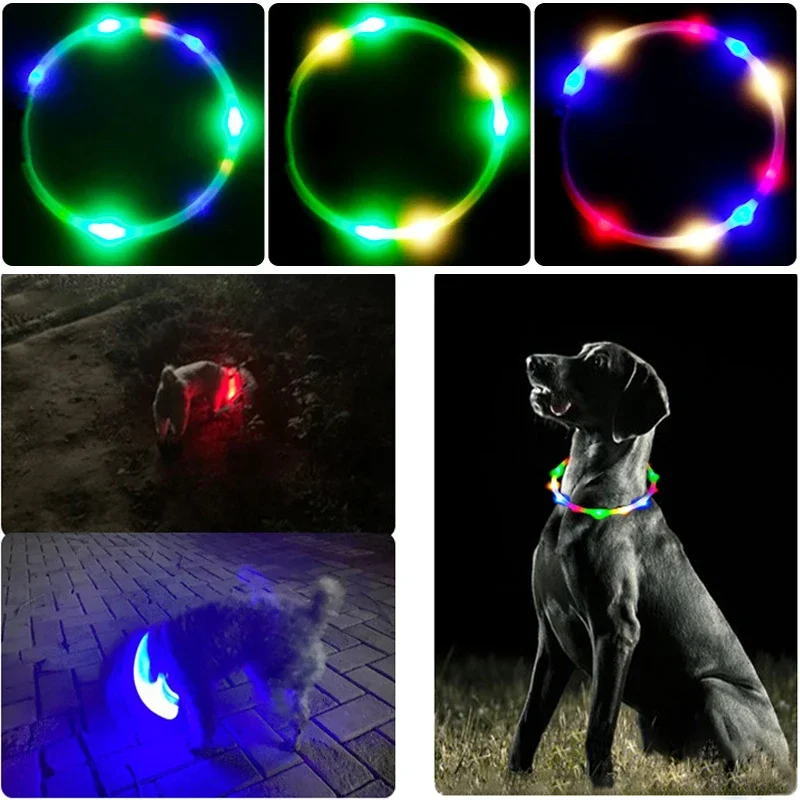 3 Modes Dog Luminou Charge Col - đánh giá và giá Tech Dog Accessories