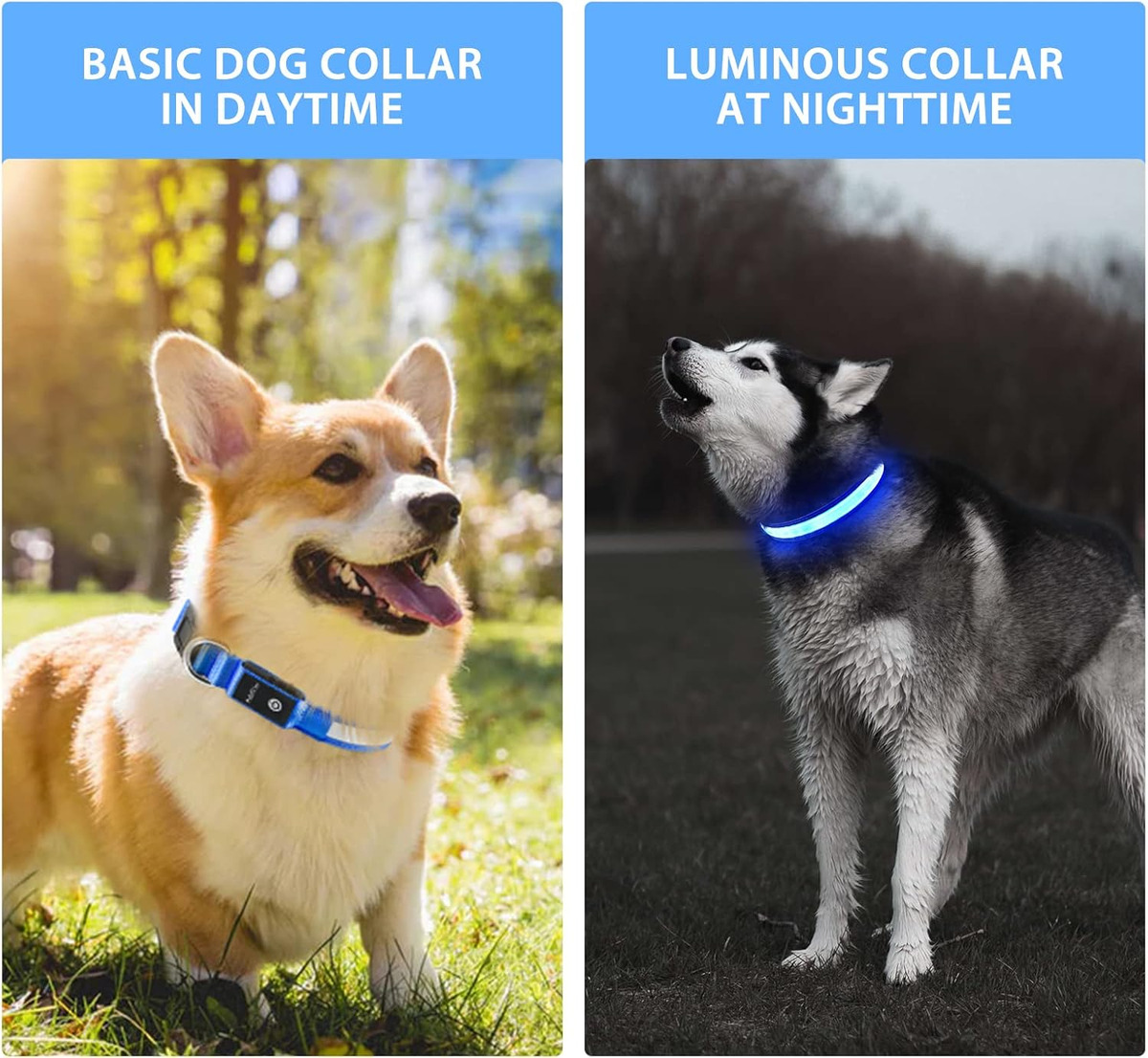 USB LED Dog Collar Lights - Ad - đánh giá và giá Tech Dog Accessories