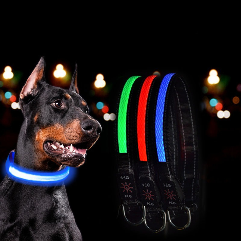 USB LED Dog Collar Lights - Ad - đánh giá và giá Tech Dog Accessories