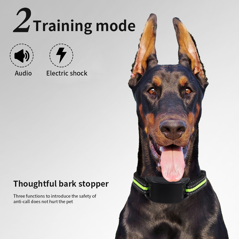 Anti Bark Dog Collar Electric  - đánh giá và giá Tech Dog Accessories