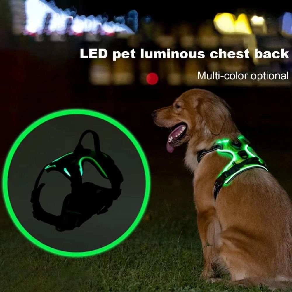 Durable Light Up LED Dog Harne - đánh giá và giá Tech Dog Accessories