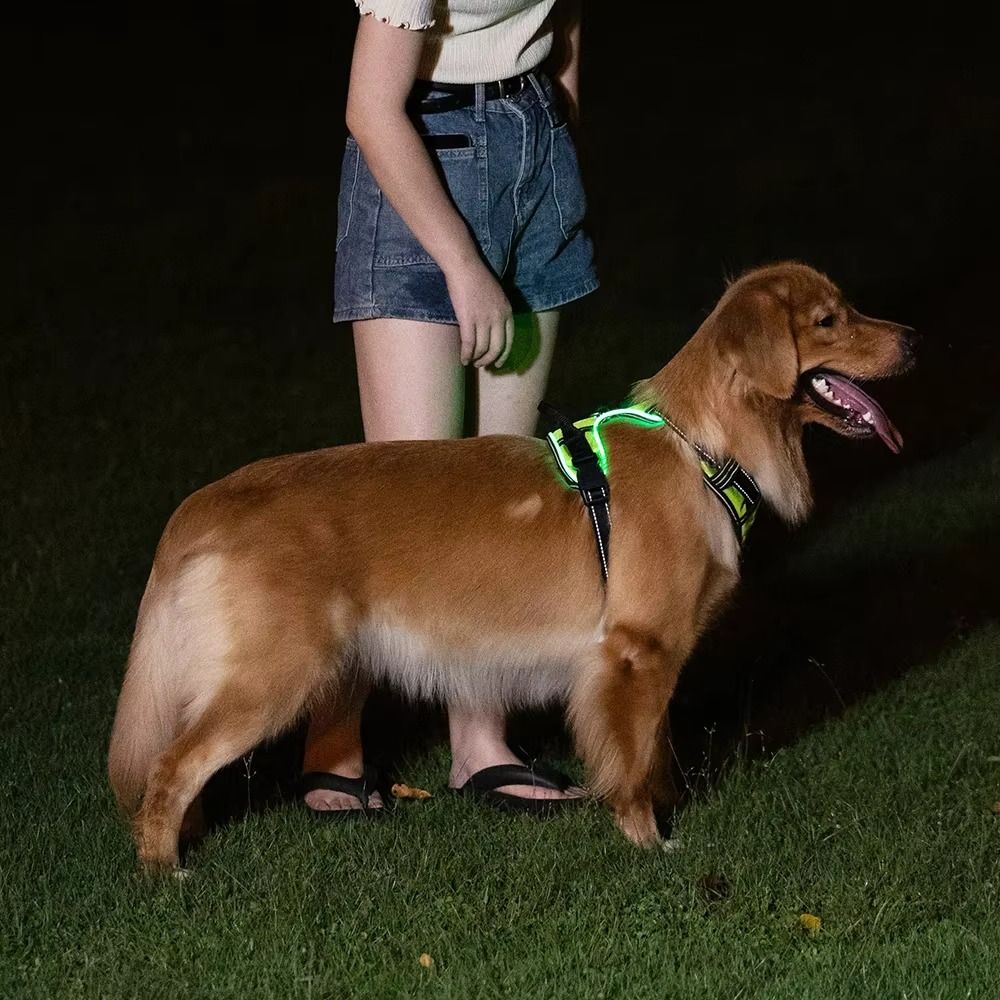 Durable Light Up LED Dog Harne - đánh giá và giá Tech Dog Accessories
