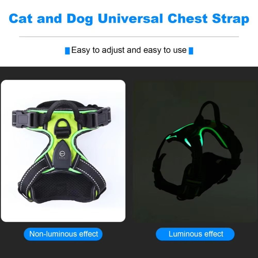Durable Light Up LED Dog Harne - đánh giá và giá Tech Dog Accessories