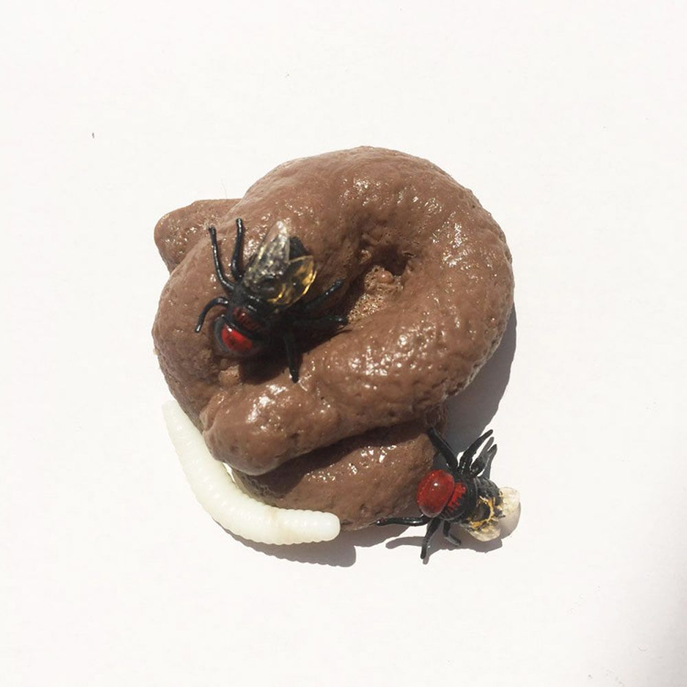 Prank Realistic Fake Shit Toys - đánh giá và giá Tech Dog Accessories