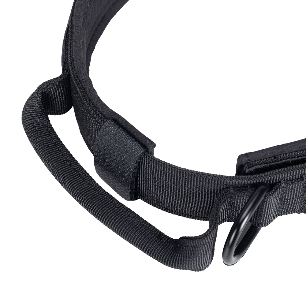 Xuất Sắc ELITE SPANKER Chó Chi - đánh giá và giá Tech Dog Accessories