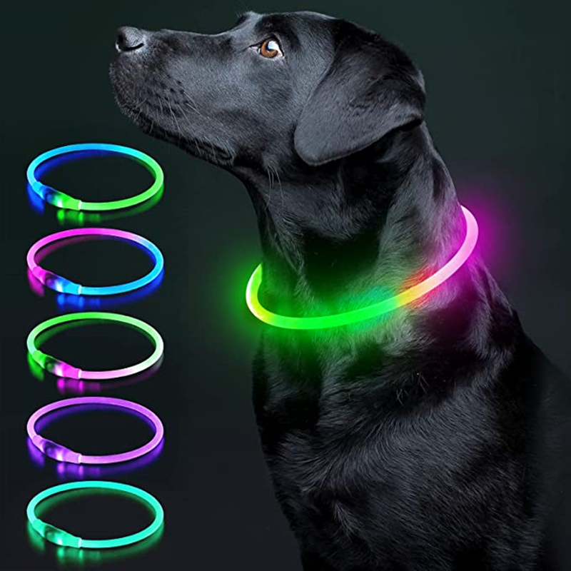 Luminous Dog Collar Light Char - đánh giá và giá Tech Dog Accessories