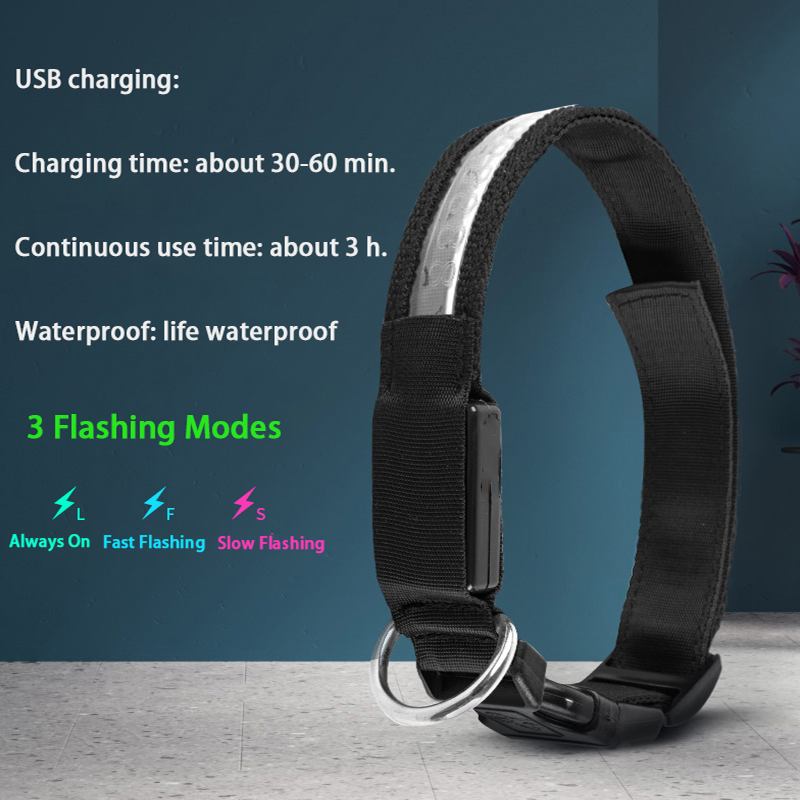 Khắc ID LED Cổ Chó Dạ Quang US - đánh giá và giá Tech Dog Accessories