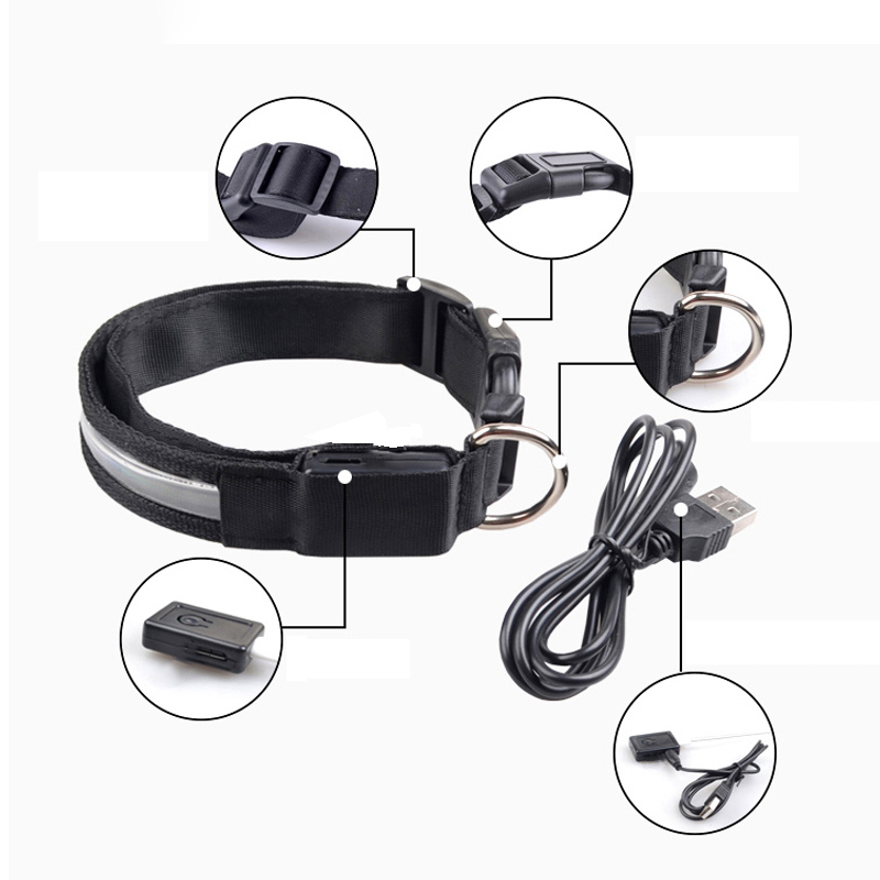 Khắc ID LED Cổ Chó Dạ Quang US - đánh giá và giá Tech Dog Accessories
