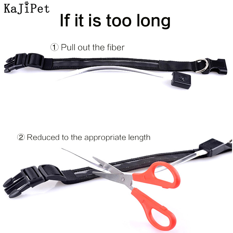 Khắc ID LED Cổ Chó Dạ Quang US - đánh giá và giá Tech Dog Accessories