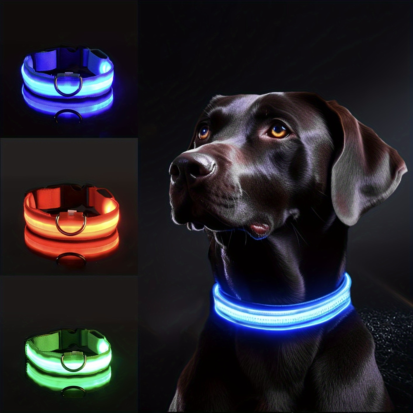 Reflective LED Dog Collar for  - đánh giá và giá Tech Dog Accessories